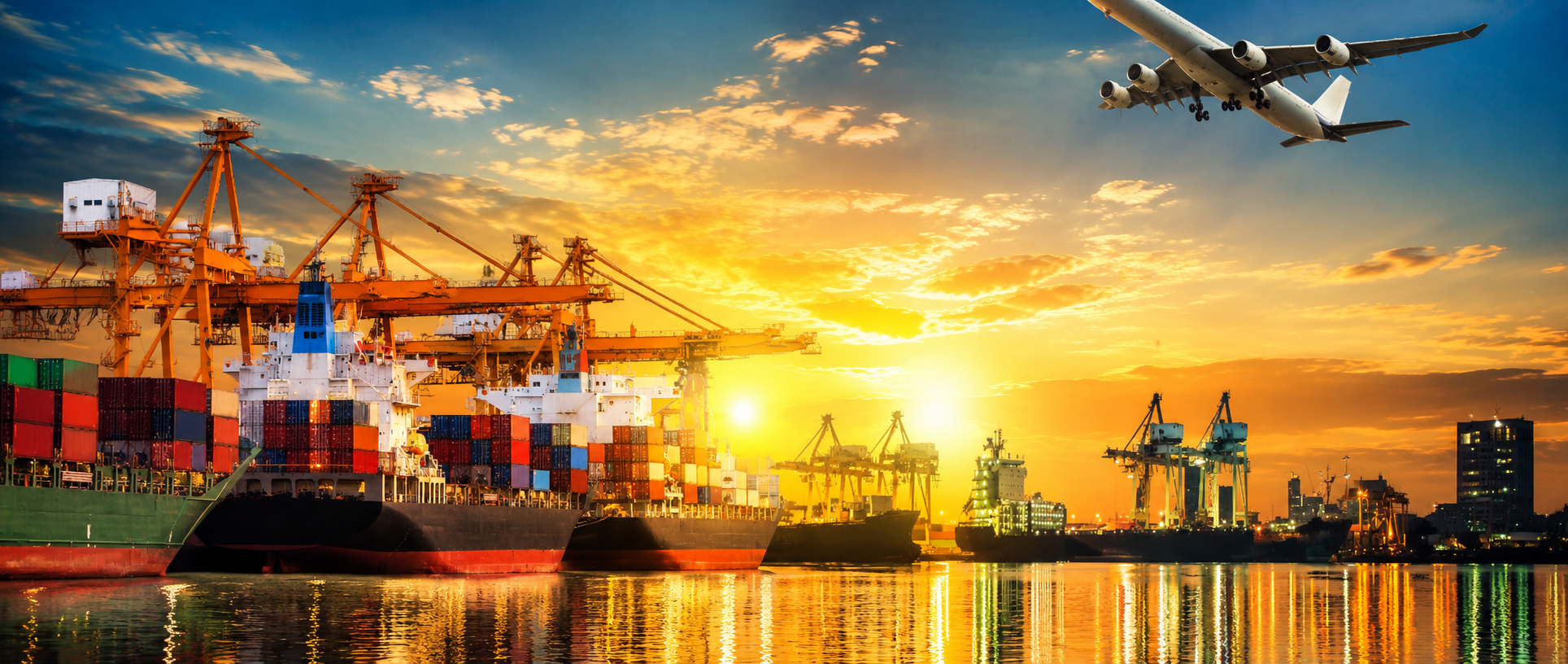 Global Meat Export Operations